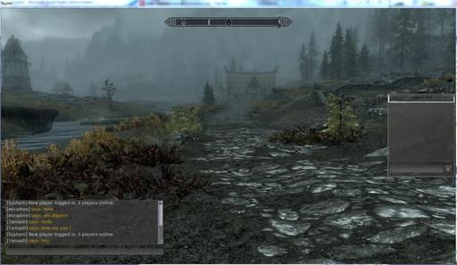 Elder Scrolls V: Skyrim, The - TES 5: Skyrim "Skyrim Online" (сырая альфа)